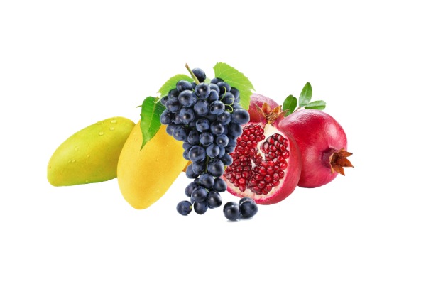 BBC Super Fresh Fruits Export & Import of Fresh Fruits and Vegetables