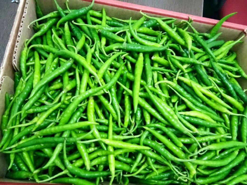 https://www.superfreshfruits.com/assets/images/green-chili-2737243-1920-680x453.jpg