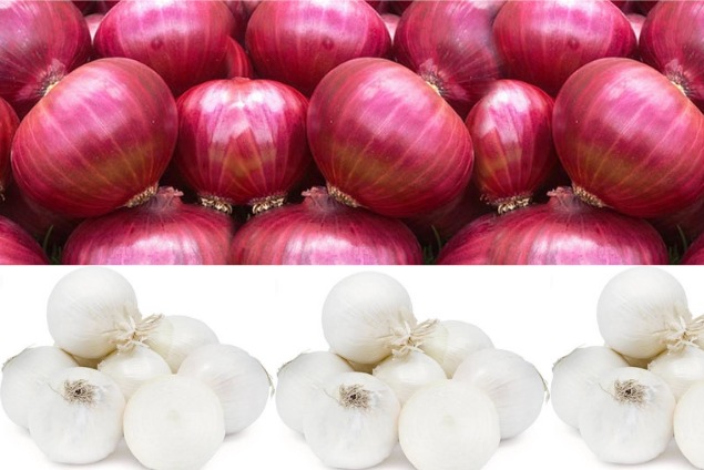 https://www.superfreshfruits.com/assets/images/sff-onion-1270x874.jpg